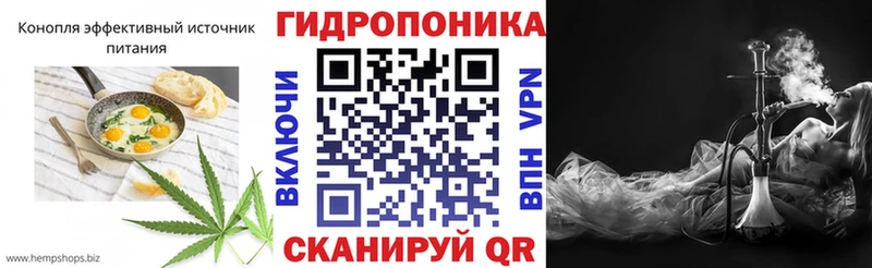 Canna-Cookies марихуана  hydra зеркало  Кемь  как найти наркотики 
